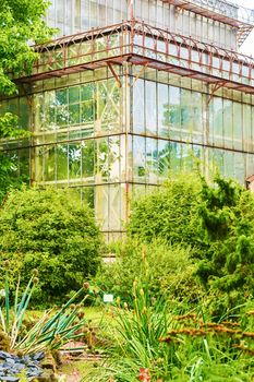 Greenhouse in the public garden. Natural background.