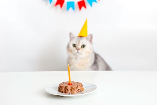 A cute white british cat in a yellow paper cap sits at a white table with a canned cat cake with a candle and licks his lips. Copy space