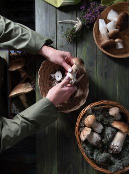 woman cleans porcini mushrooms in a basket top view harvest of autumn forest mushrum. High quality photo