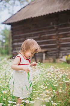 charming baby in an embroidered dress enjoys flowers near a wooden hut.