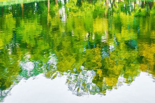 Reflection of trees with green foliage and the sky in the water. High quality photo