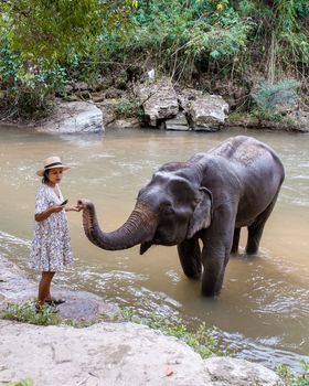 Asian woman visiting an Elephant sanctuary in Chiang Mai Thailand, a girl with an elephant in the jungle of Chiang Mai Thailand. 