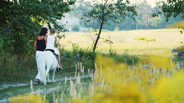 A woman and a boy are walking around the field, son is riding a pony, mother is holding a pony for a bridle. Cheerful, happy family vacation. Outdoors, in summer, near the forest. High quality photo