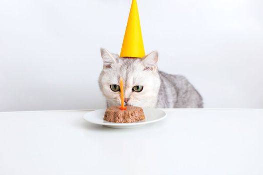 A funny white cat in a yellow paper cap sits at a white table and eats a canned cat cake with a candle. Multi-colored flags hang in the background