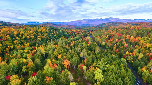 Image of Aerial over hills and mountains of peak fall forests with road winding through