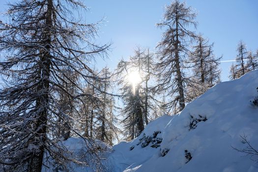 winter mountain landscape peaks and trees snow covered. High quality photo