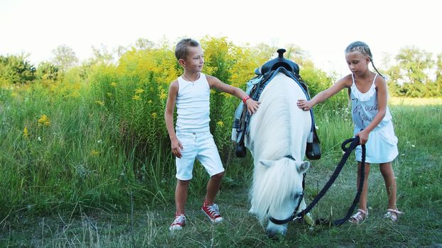 Children, a boy and a girl of seven years, stroking a white pony. Cheerful, happy family vacation. Outdoors, in the summer, near the forest. High quality photo