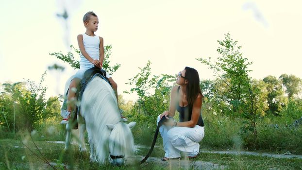 A woman and a boy are walking around the field, son is riding a pony, mother is holding a pony for a bridle. Cheerful, happy family vacation. Outdoors, in summer, near the forest. High quality photo