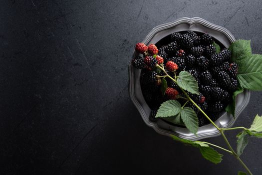A full plate of the ripe blackberries, and a sprig of red blackberries on a pewter bowl on the dark background, copy space,High quality photo