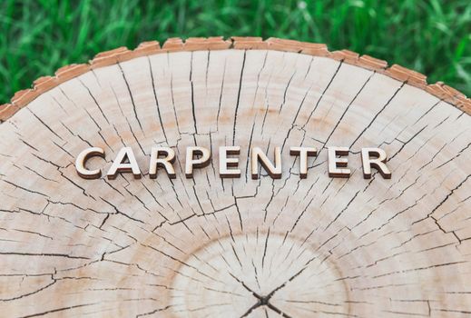 word carpenter made of wooden letters on stump in the forest.