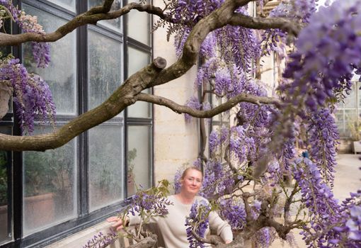 a beautiful middle-aged woman sits on a bench in the thickets of blooming wisteria and meditates happy. High quality photo