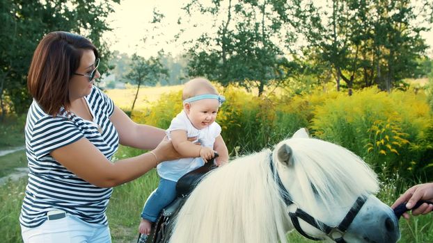 A woman with a baby walks around the field, a baby sits on a pony, mom holds the baby. Cheerful, happy family vacation. Outdoors, in the summer, near the forest. High quality photo