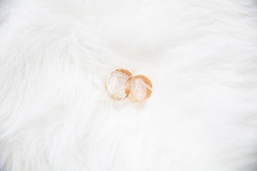 beautiful wedding rings on a white background
