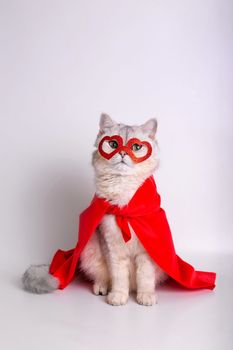 Funny white cat with green eyes, sits on white background, in a red mask in the form of hearts and a red cape, looks at camera. Close up. Vertical. Copy space