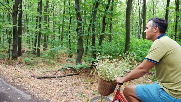 a man riding a bicycle in the forest, in the summer. High quality photo