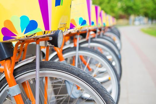 A number of beautiful bicycles are rented on the street. Vilnius, Lithuania.