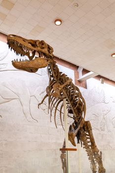 20.11. 2022, Moscow, Russia, Yu.A. Orlov Paleontological Museum, Tricerapers Dinosaur Skeleton. Tyrannosaurus rex skull, Giant Dinosaur. T-rex skeleton