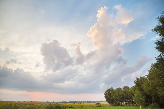 large clouds, beautiful sunset over an agricultural green field.