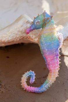 a decorative rainbow seahorse stands on the beach on a sunny day, near a large seashell. close up