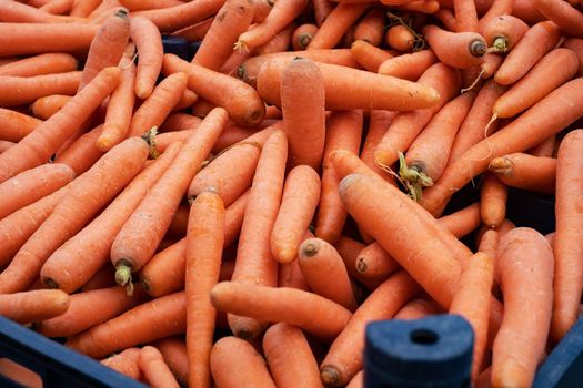 Orange organic carrots at a local farmers' market in Fethiye, Turkeye