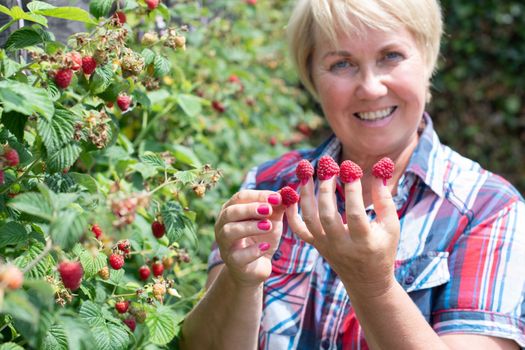 a middle-aged woman put raspberries on her fingers and shows her original berry summer manicure. High quality photo
