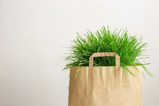 Brown paper bag with green grass on a light background. Close up. Mock up. Copy space