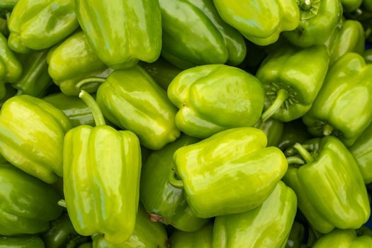 green pepper harvest. many fresh green peppers. High quality photo