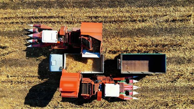 Aerial top view. harvesting corn. combine harvester machines Pouring Fresh corncobs to a truck with trailers after harvest. Aerial Agriculture. High quality photo