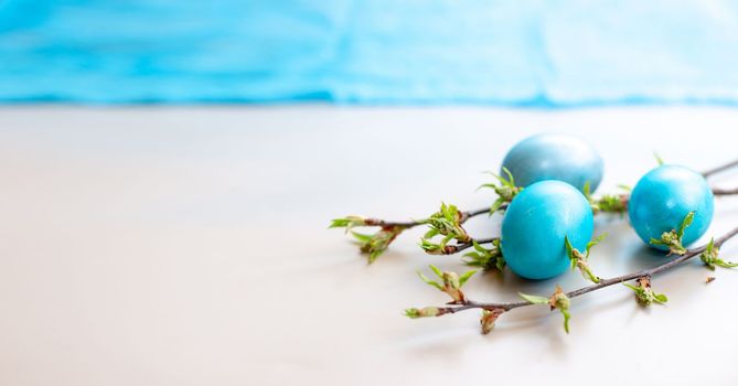 Three blue Easter eggs, and spring twigs with green leaves on a white table, with a blue background on top. Copy space. Wide banner