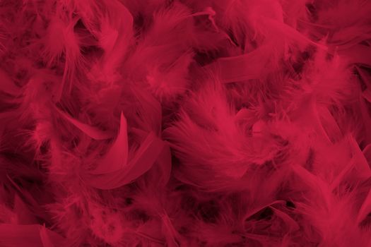 background of magenta feathers beautiful tactile soft surfaces and texture, Pantone Color of the Year 2023, High quality photo