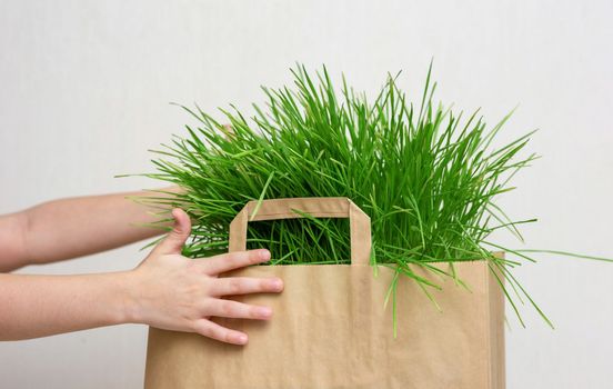 A two hands of little kid holding a paper bag of green grass. Close up. Mock up. Copy space