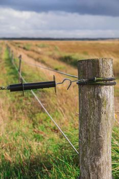 Electronic shepherd. Pasture fenced by wire under a weak current.