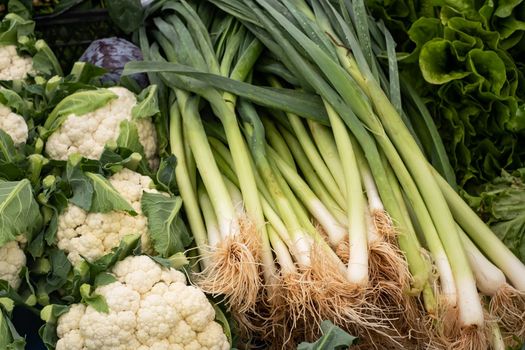 Bunches of green onions on display at a farmers' market. 