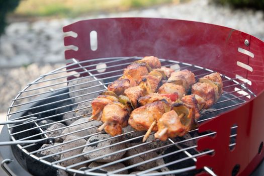 summer picnic with barbecue marinated chicken skewers with grilled vegetables on the terrace, colorful food. High quality photo