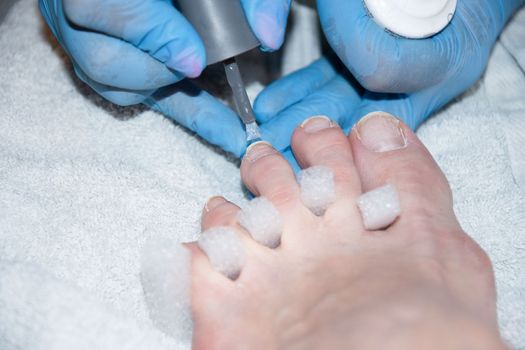  pedicure master applies gel polish on client's toe nails, Client's foot with white spongy toe separator,foot care at beauty center, High quality photo