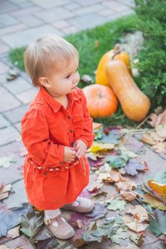 baby in red dress stands near pumpkins on halloween.