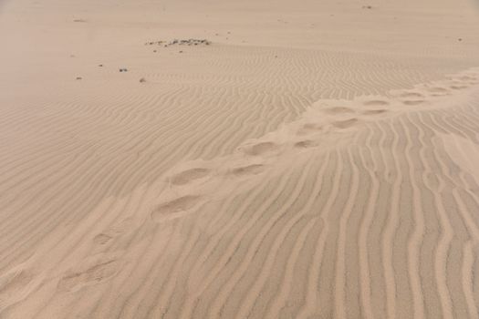 shoe prints on sand dune.