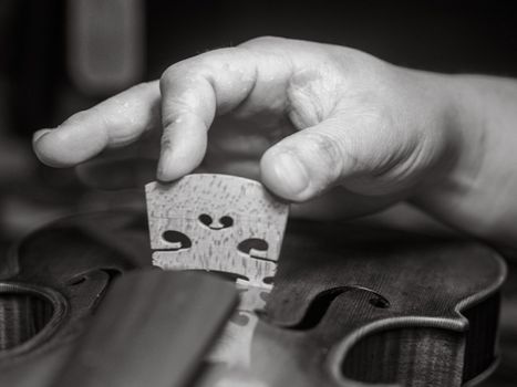 artisan placing the violin, viola, or cello bridge for playability, tone, and structural integrity