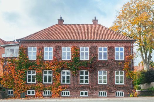 Beautiful tenement house overgrown with wild ivy in autumn Denmark. High quality photo