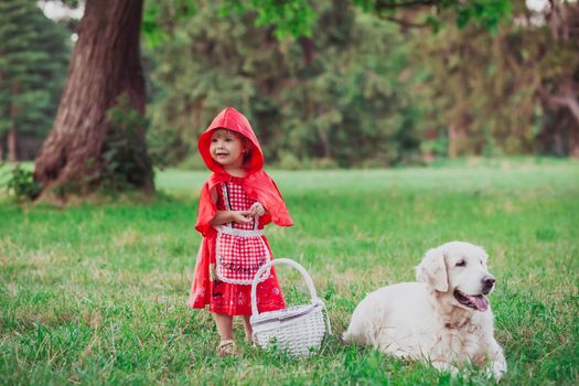 Charming baby in a red riding hood costume and golden retriever instead of a wolf