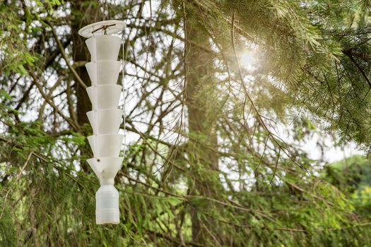 trap for insects and beetles. A trap for pests and insects hangs on a tree in the garden. Catching a bark beetle with a pheromone trap.