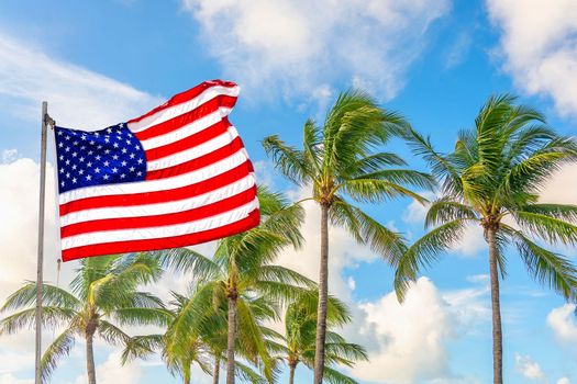 American flag waving against palm trees on a blue sky background