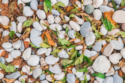 Natural background. Fallen leaves on colorful cobblestones.