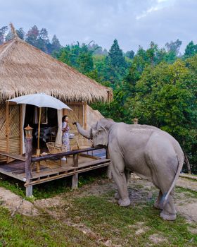 Asian woman visiting an Elephant sanctuary in Chiang Mai Thailand, a girl with an elephant in the jungle of Chiang Mai Thailand. 