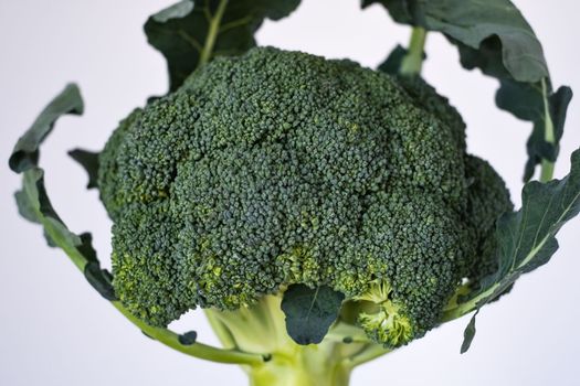 Fresh broccoli on a white background. Healthy food concept. High quality photo