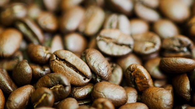 brown roasted coffee beans macro closeup making the blend series