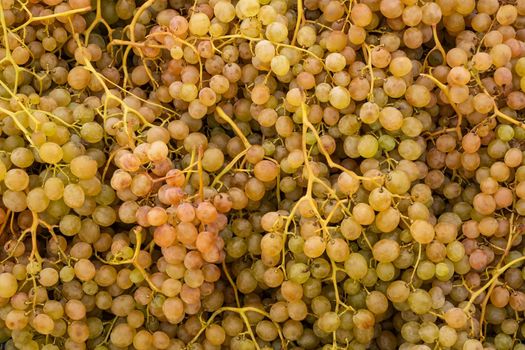  Grape in the bazaar sall. sale, shopping and eco food concept