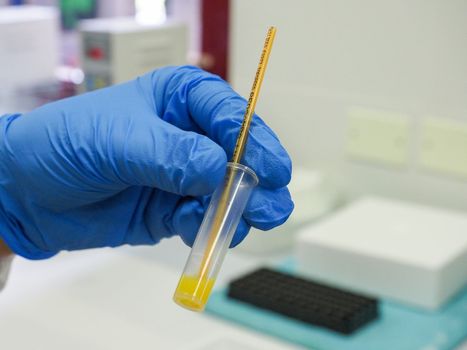 scientific researcher or doctor using looking at a clear solution in a laboratory