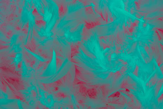 background of turquoise feathers on pink beautiful tactile soft surfaces and texture, High quality photo