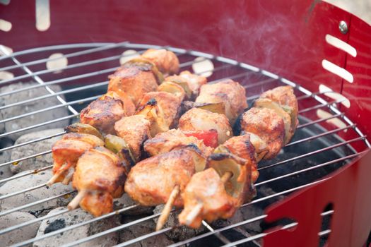 summer picnic with barbecue marinated chicken skewers with grilled vegetables on the terrace, colorful food. High quality photo